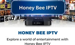 Explore the Sweet World of Entertainment with Honey Bee IPTV and Xtreame HDTV