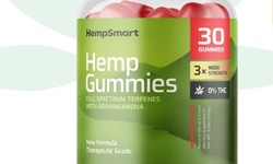 Hempsmart CBD Gummies Australia Reviews Is So Famous, But Why?