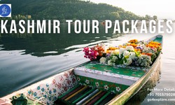Explore the Beauty of Kashmir with Our Exclusive Tour Package