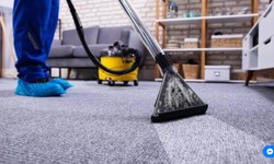 Unveiling Henderson's Finest Carpet Cleaning Services
