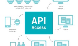 API Access: Managing and Securing Your API Endpoints