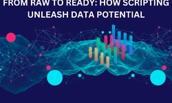 FROM RAW TO READY: HOW SCRIPTING UNLEASH  DATA POTENTIAL