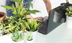 A Comprehensive Guide to Finding and Buying Plants Online