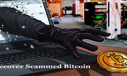 Steps On How To Recover Scammed Bitcoin