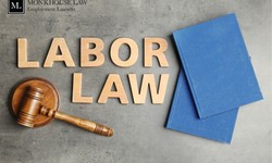Top Reasons to Hire a Competent Labour Lawyer Toronto