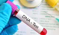 Ultimate Guide to DNA Testing Facilities in Dubai