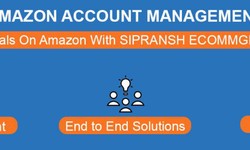 A Comprehensive Guide to Amazon Brand Account Management