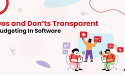 Dos and Don’ts Transparent Budgeting In Software