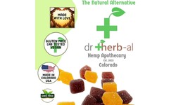 Exploring Nature's Remedy: The Rise of All-Natural Hemp Extract CBD Gummies