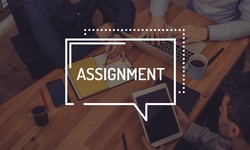 Marketing Assignment Writing Services: Expert Help for Your Success