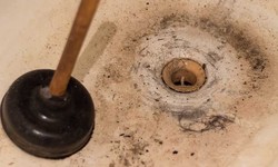 Identifying the Signs of Drain Backup in Etobicoke Homes: What to Look For