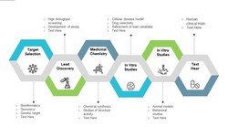 Demystifying the Drug Development Process: A Comprehensive Guide: