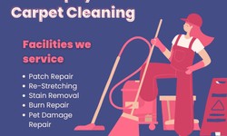 Transform Your Home with GS Murphy Carpet Cleaning Epping: The Ultimate Guide to Revitalizing Your Carpets