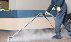 Introduction To Carpet Cleaning In Milton