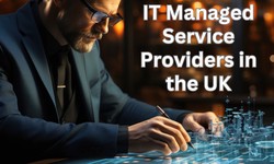 What is a Managed Service Provider in IT (Information Technology)?