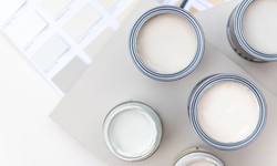 A Guide to Painting Plaster Walls