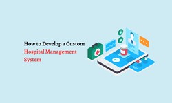 How to Develop a Custom Hospital Management System