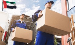 The Ultimate Guide to Choosing the Right Local Movers in Dubai