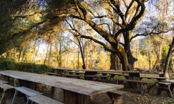 The Best Family Activities in Apple Hill, CA