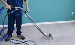 Enhancing Home Comfort: The Value of Professional Carpet Cleaners in Henderson, NV