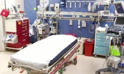 Exploring Acute Back Pain Treatment Guidelines