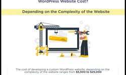 Dedicated WordPress Development Solutions: Hire Expert Developers Today