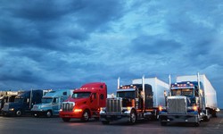 Maximize Your Opportunities: Exploring the Benefits of CDL Training