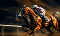 Finding the Best Horse Betting Sites