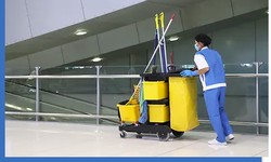 Healthy Spaces, Happy You: Why Professional Cleaning in Toronto Matters?