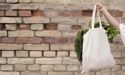 Tote-ally Awesome: Why Canvas Bags Rule the Carrying Game