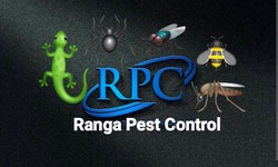 Pest Control in Jhajjar