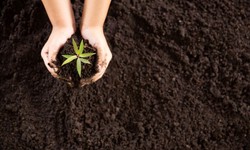 Nurturing Nature: Exploring the Power of Organic Plant Growth Products