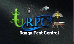 Pest Control in Hisar