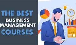 Business & Management Courses: Unlocking Your Potential