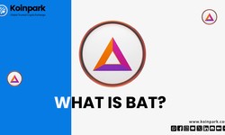 What is BAT?