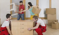 Navigating the Move: Top Tips for Hiring Removalists Caboolture