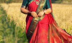 Elevate Your Style with the Best Quality Silk Cotton Sarees Online from Shrus Saree