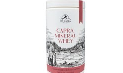 Understanding the Synergy Between Normalization of Intestinal Microflora and Capra Mineral Whey