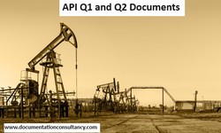 API Q1 and Q2: Enhancing Operational Effectiveness in the Oil and Gas Sector