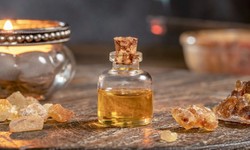Unlocking the Aromatic World: Essential Oils Exporters