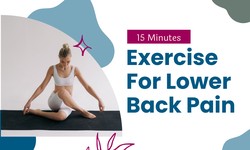 Best Exercises for Lower Back Pain