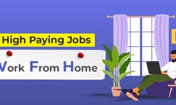 Introduction to High Paying Work from Home Jobs