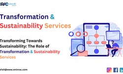 Transforming Towards Sustainability: The Role of Transformation & Sustainability Services