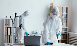 The Shocking Truth About Mold: What Every Columbus Homeowner Needs to Know!