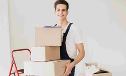 How to Choose the Best Packers and Movers in Dehradun?