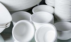 Disposables Cups and Plates Manufacturing Plant Project Report 2024: Comprehensive Business Plan, and Manufacturing Process