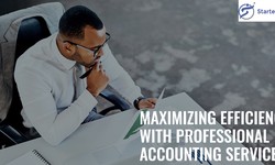 Maximizing Efficiency with Professional Accounting Services