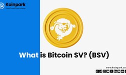 What is Bitcoin SV? (BSV)