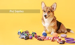 The Complete Guide to Pets Supplies: All the Information You Need