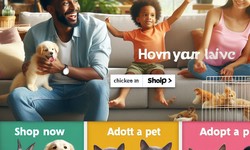 Shop Now: Your Ultimate Online Pet Store Experience